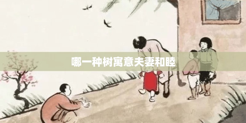 哪一种树寓意夫妻和睦