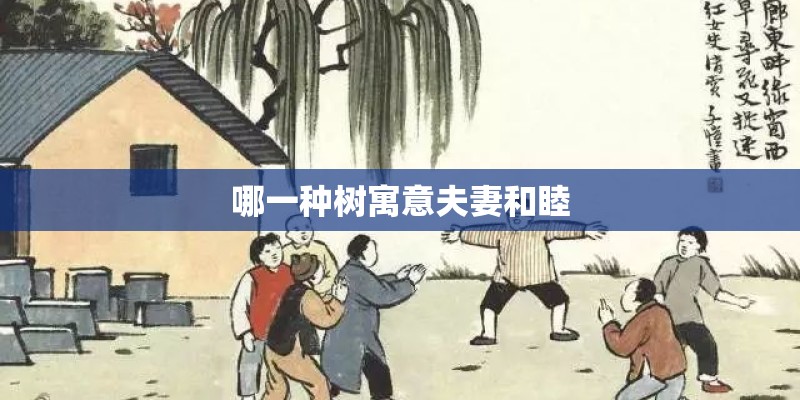 哪一种树寓意夫妻和睦