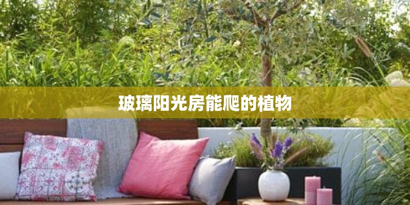 玻璃阳光房能爬的植物