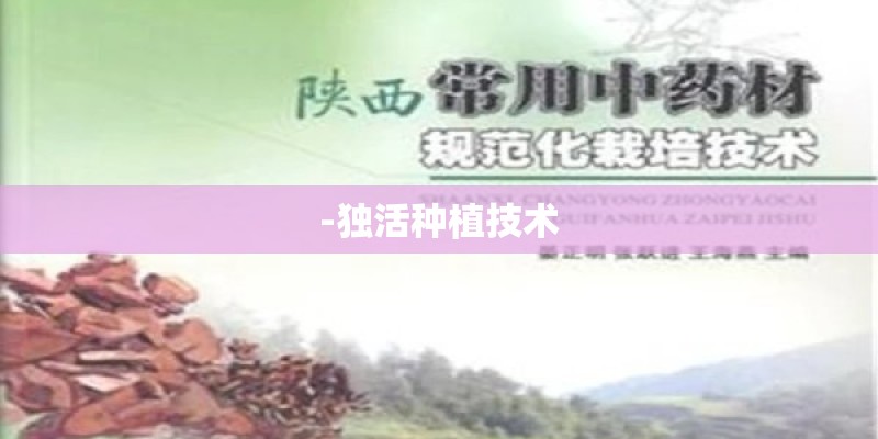 -独活种植技术