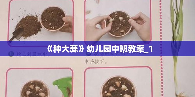 《种大蒜》幼儿园中班教案_1