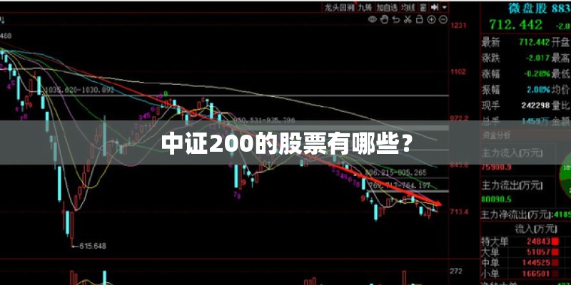 中证200的股票有哪些？