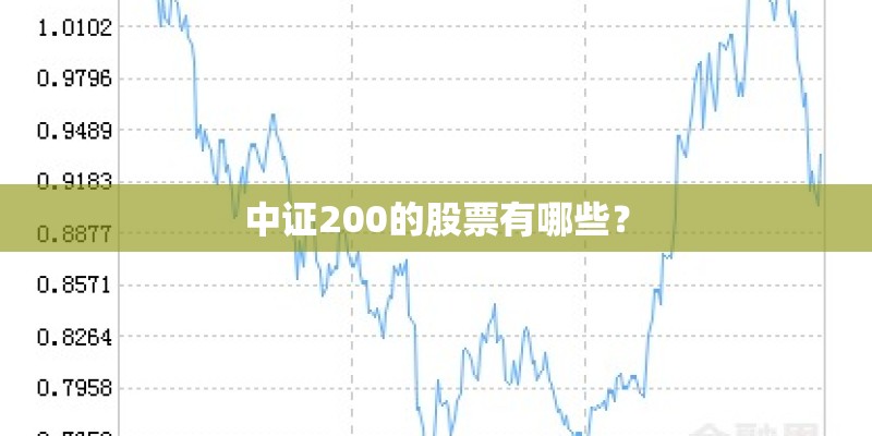 中证200的股票有哪些？