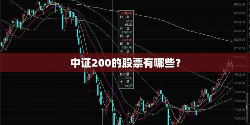 中证200的股票有哪些？