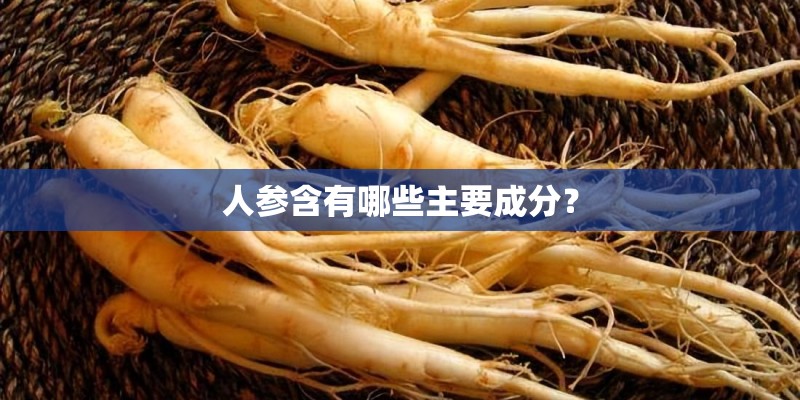 人参含有哪些主要成分？