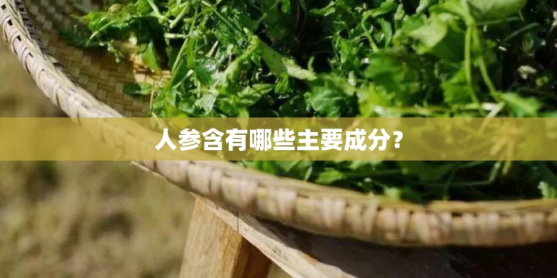 人参含有哪些主要成分？