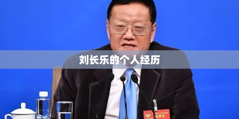 刘长乐的个人经历