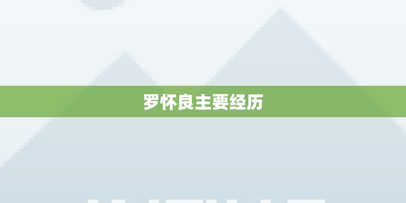 罗怀良主要经历