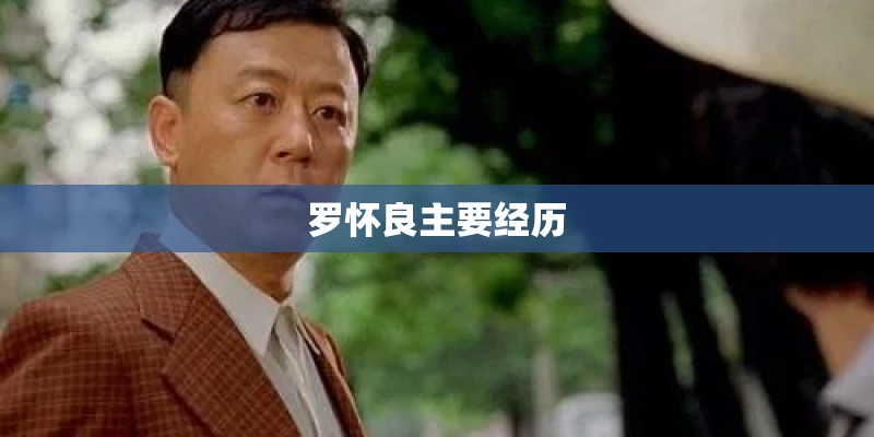 罗怀良主要经历