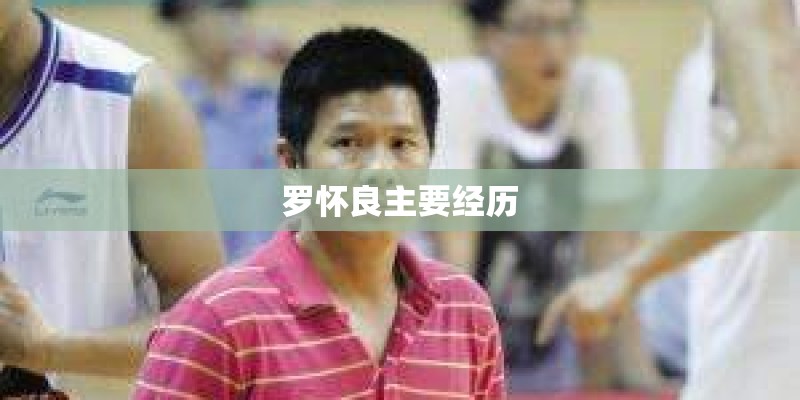 罗怀良主要经历