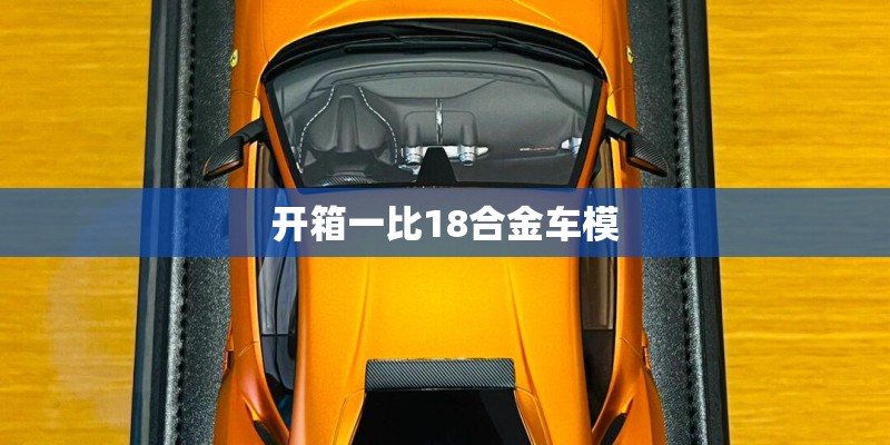 开箱一比18合金车模