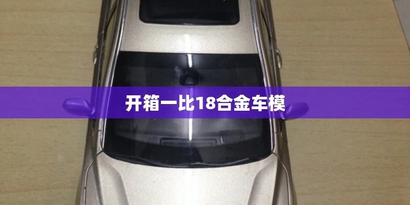 开箱一比18合金车模