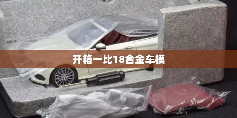 开箱一比18合金车模