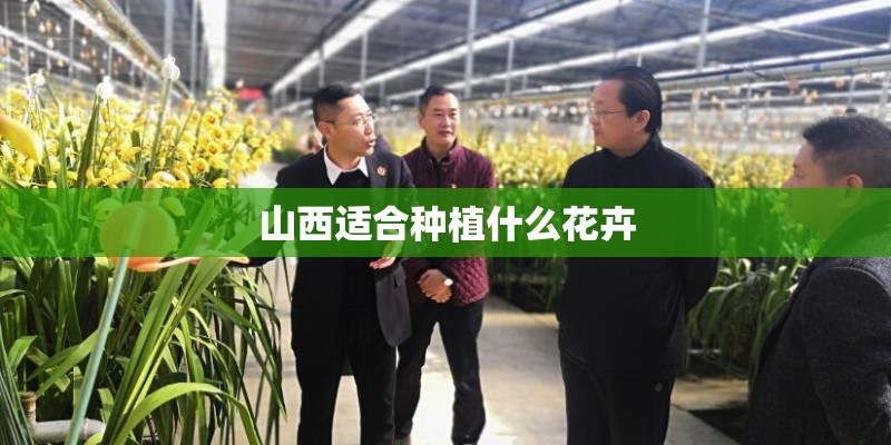 山西适合种植什么花卉