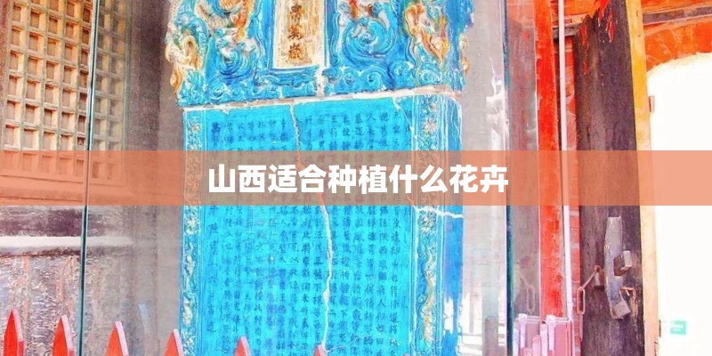 山西适合种植什么花卉