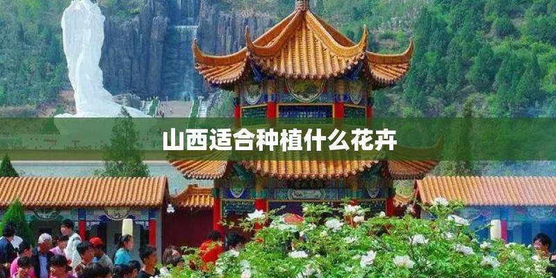 山西适合种植什么花卉