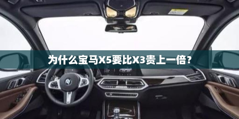 什么是蚂蚁