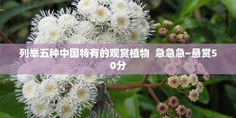列举五种中国特有的观赏植物  急急急~悬赏50分