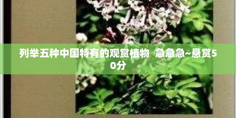 列举五种中国特有的观赏植物  急急急~悬赏50分