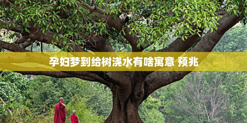 孕妇梦到给树浇水有啥寓意 预兆